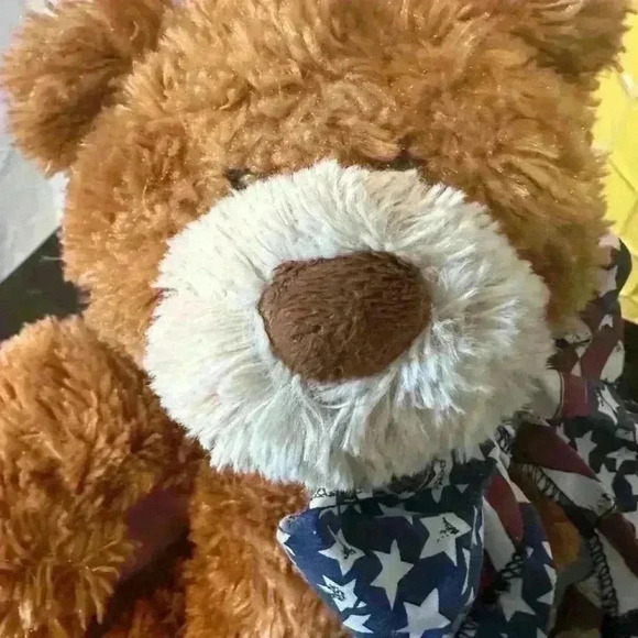TY Large Size Brown Bear.
American Flag Ribbon.
14” Bear.
GUC - Picture 4 of 7